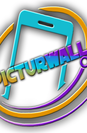 PicturWall produit 01 logo
